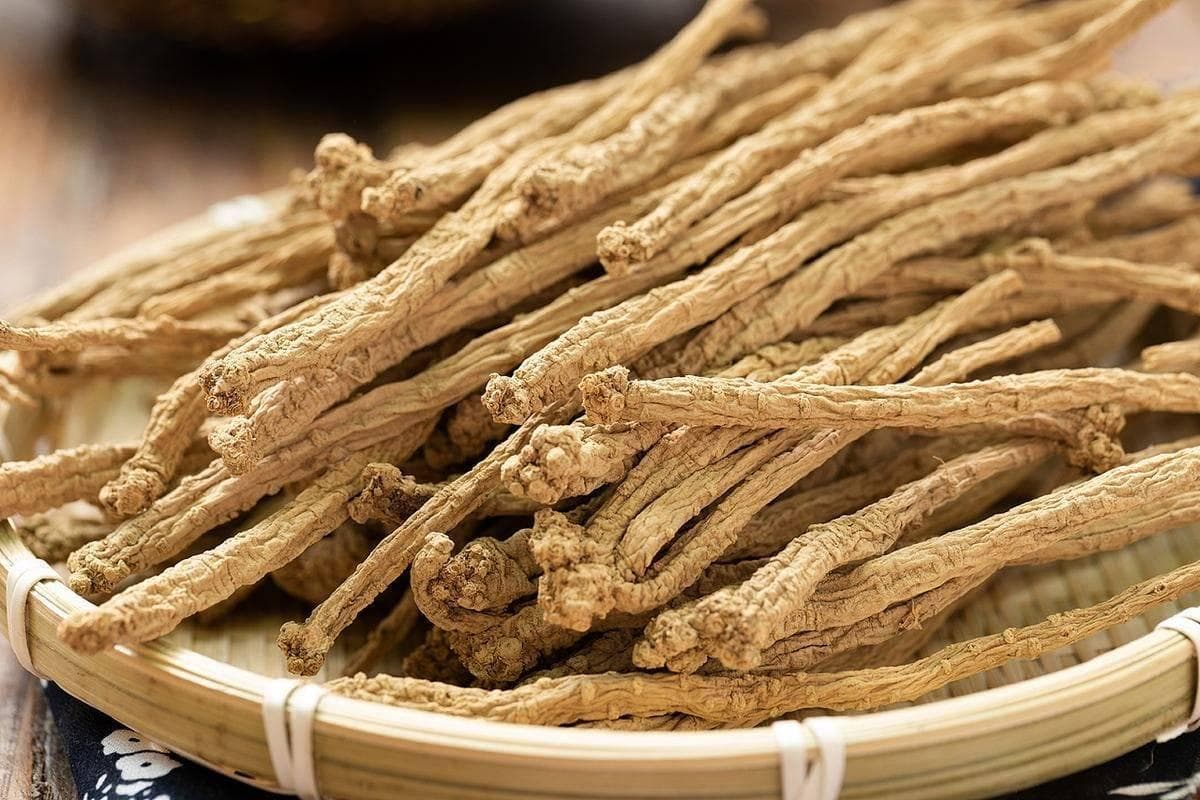 党参的好处你了解多少？