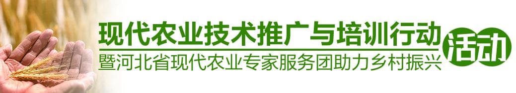 北方果树主要病虫害绿色防控关键技术