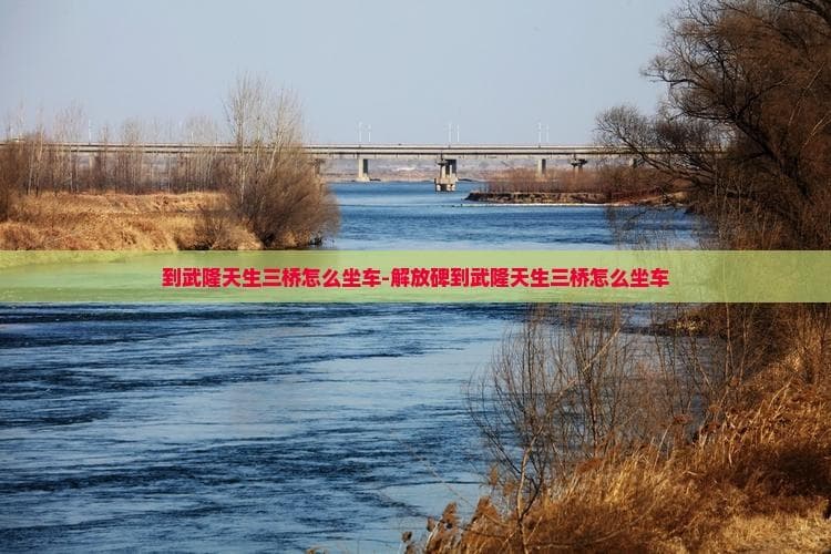 到武隆天生三桥怎么坐车-解放碑到武隆天生三桥怎么坐车