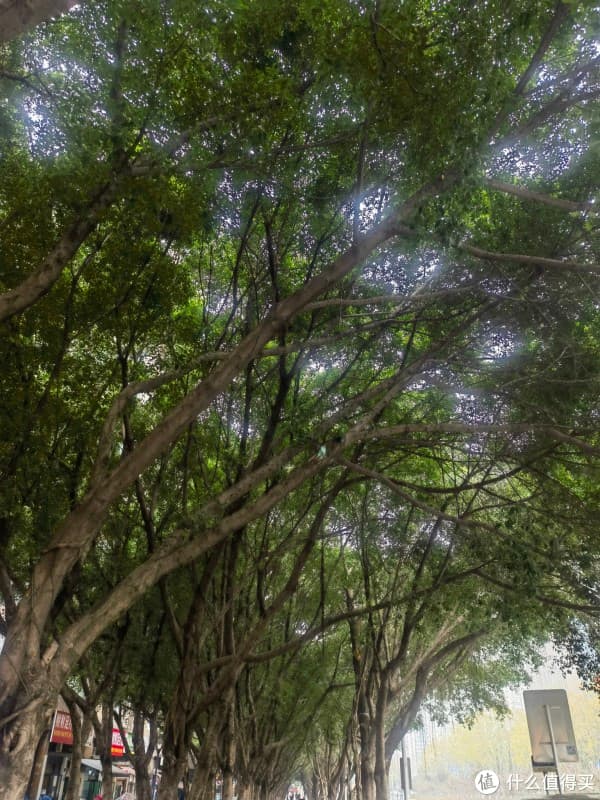 春捂秋冻：顺应自然规律的养生智慧，需因人而异灵活调整