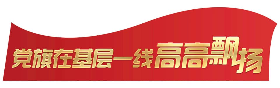 “玉米团长”赵久然：让北京玉米飘香全国
