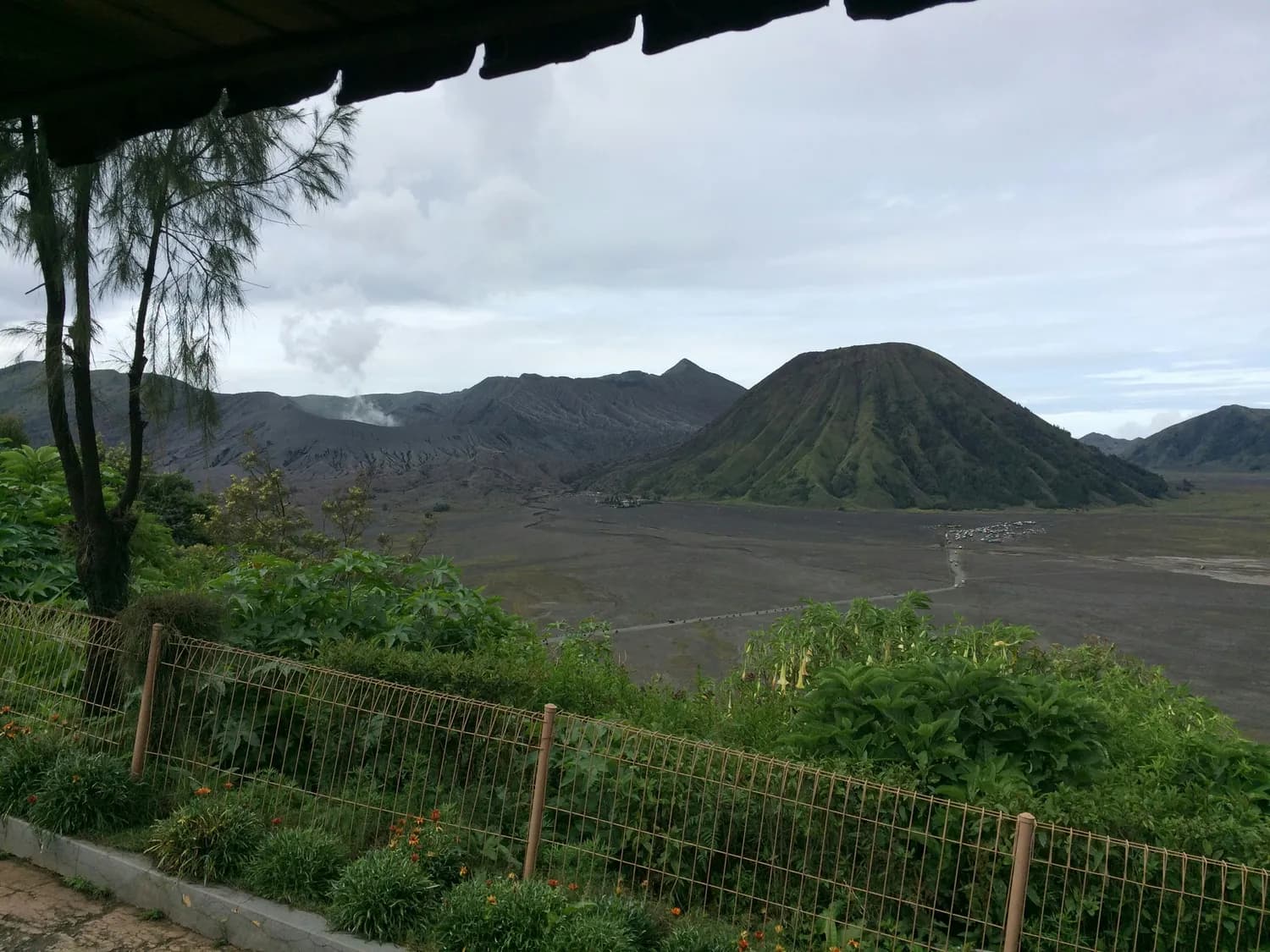 雷琼火山公园：海口必打卡的亲子游圣地！