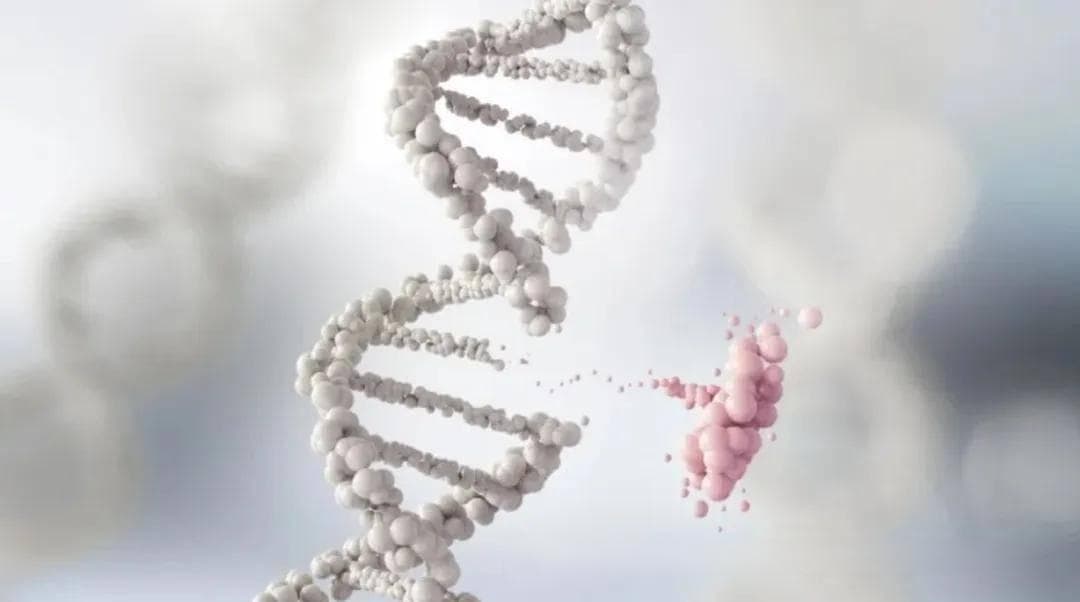 致癌物为何要分级？生活里的致癌 “雷区” 怎样巧妙避开？且听专家深度解读！