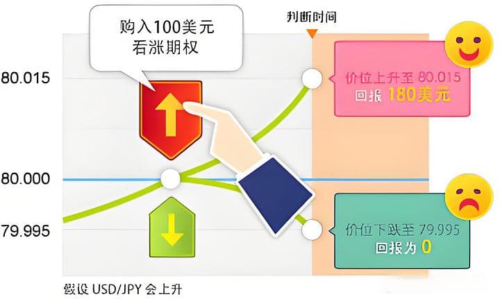 看涨期权和看跌期权的理解：实例理解+风险提示（2025新手入门）