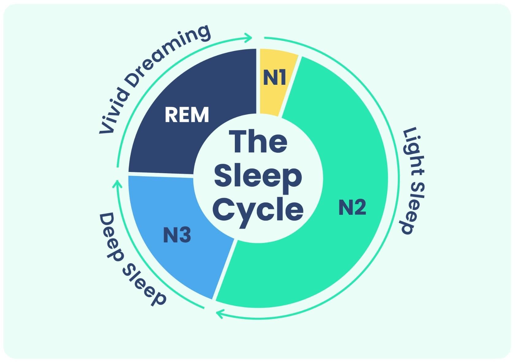 睡眠的科学：了解REM睡眠和NREM睡眠