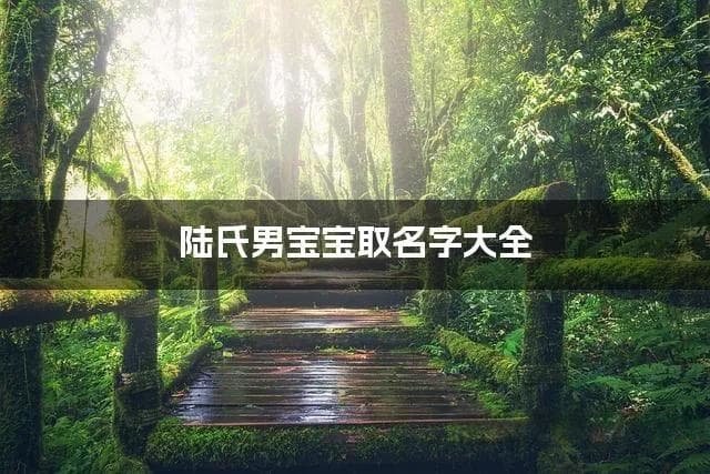 陆氏男宝宝取名字大全 姓陆名字有诗意的