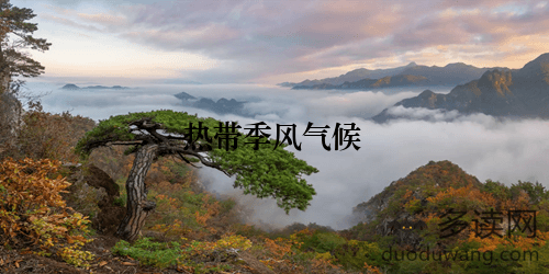 热带季风气候