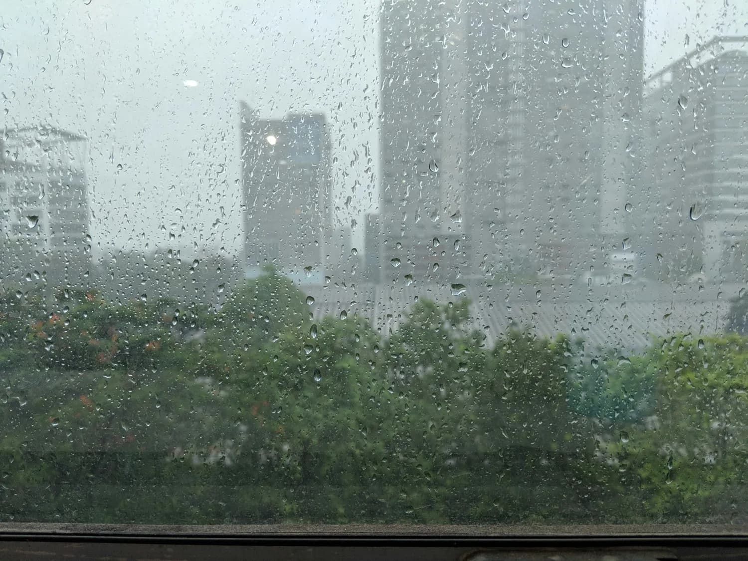 苏州红色预警！狂风暴雨中的职业安全指南