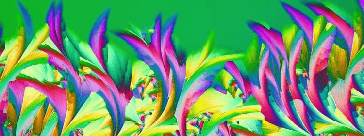 晶粒艺术显微摄影：用显微镜捕捉化学结晶之美