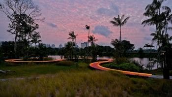 新加坡裕廊湖花园：最新国家公园的自然与欢乐