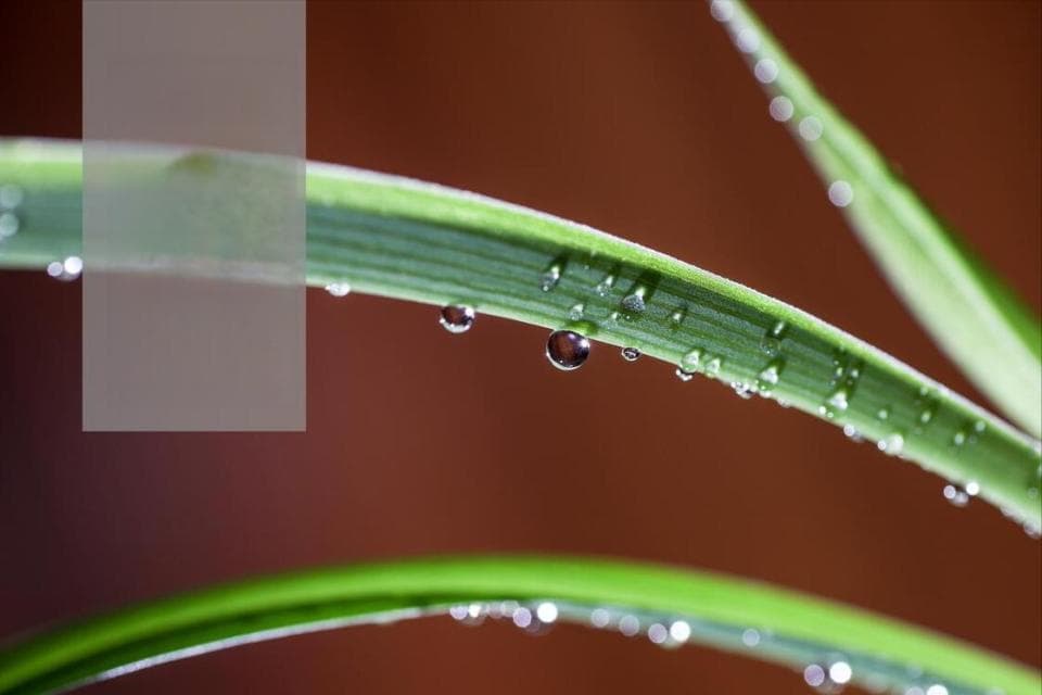 白露节气：八月初五的讲究与禁忌
