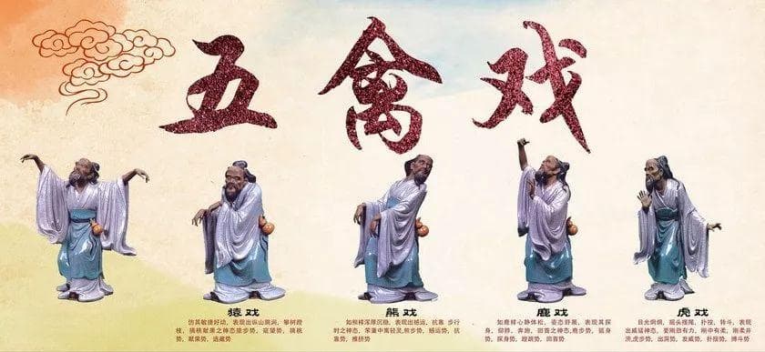 五禽戏：1800多岁的顶流，你确定不学学？