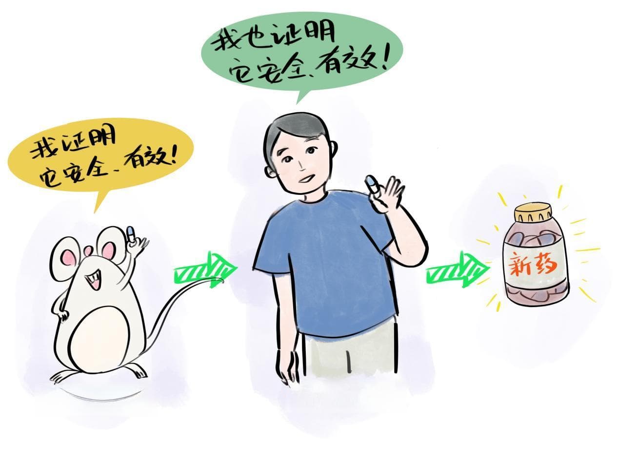 科普｜如何参加新药临床试验，怎么权衡风险与获益？