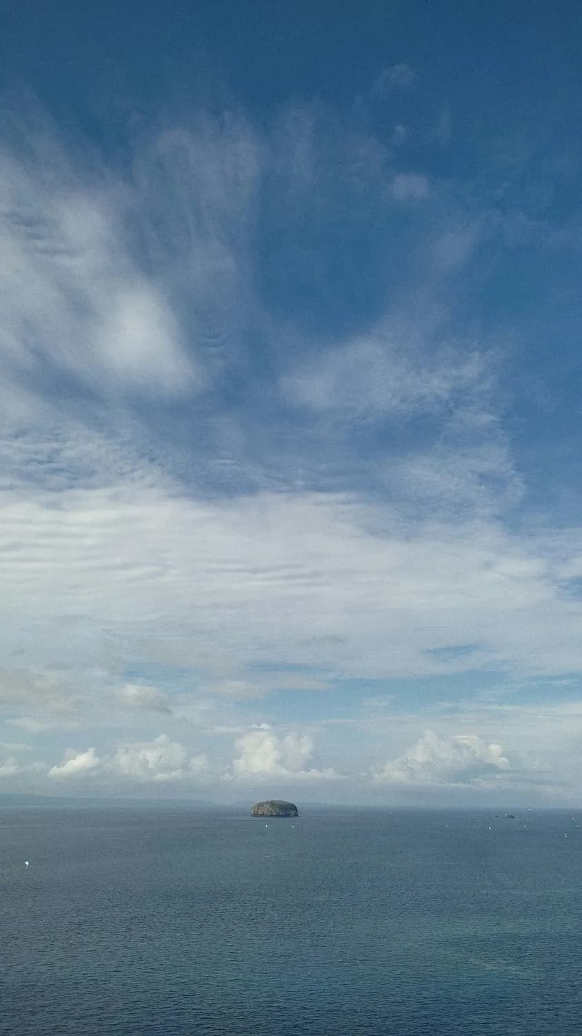 冬季打卡南海观音，三亚美景不容错过