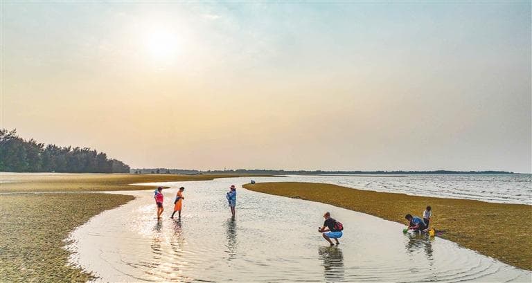 海南环岛旅游公路效应显现，儋州游客量收入双创新高