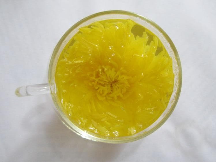 金丝皇菊的功效与食用方法