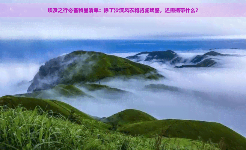 埃及之行必备物品清单：除了沙漠风衣和骆驼奶酪，还需携带什么？