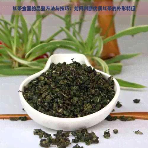 红茶金圈的品鉴方法与技巧：如何判断优质红茶的外形特征