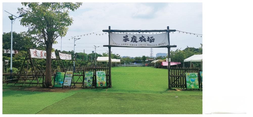 广东探索党建引领乡村振兴新模式，土特产成农民增收新引擎