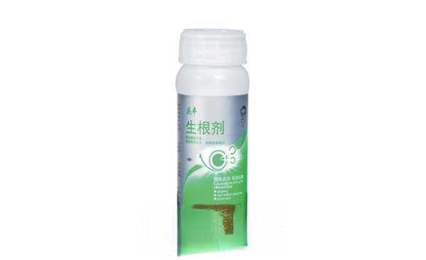 生根剂的作用、配制和使用方法详解