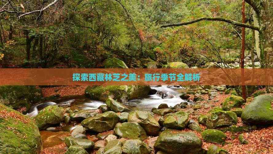 探索西藏林芝之美：旅行季节全解析