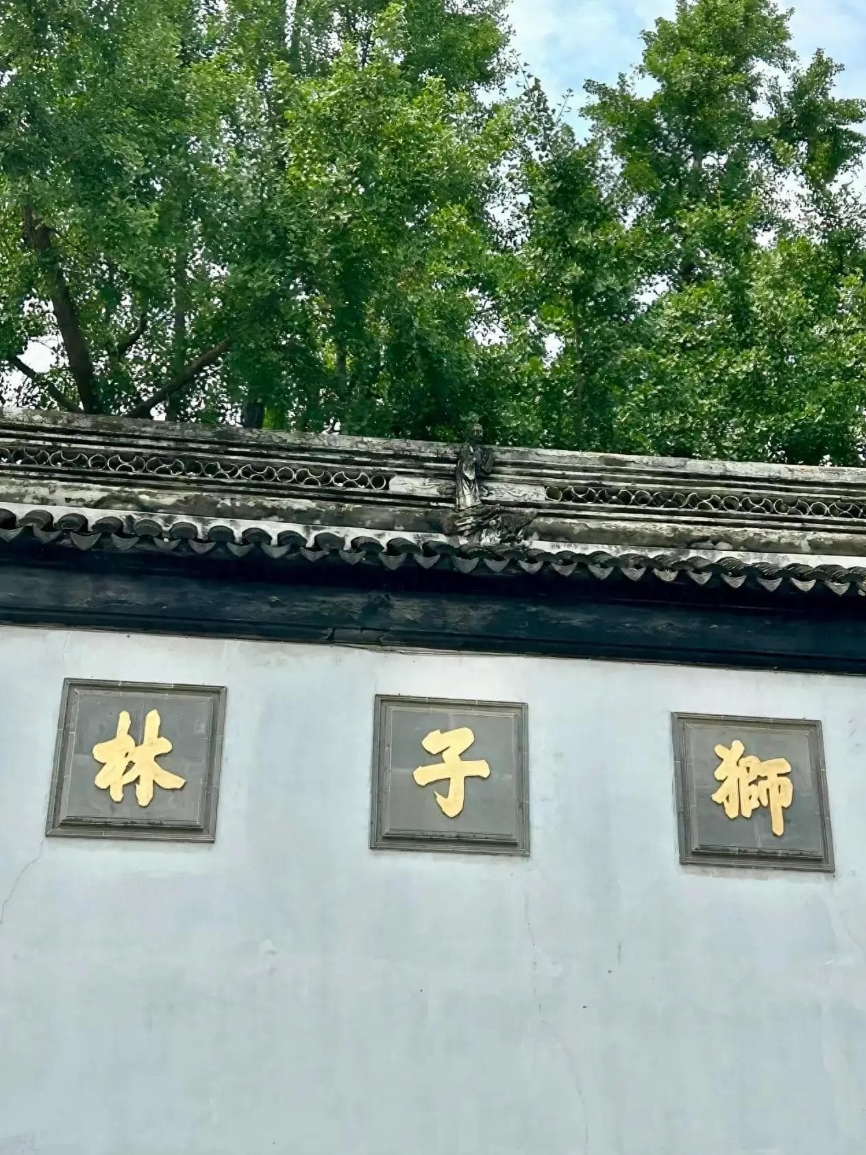 苏州园林-狮子林：探寻园林之美，领略自然之韵