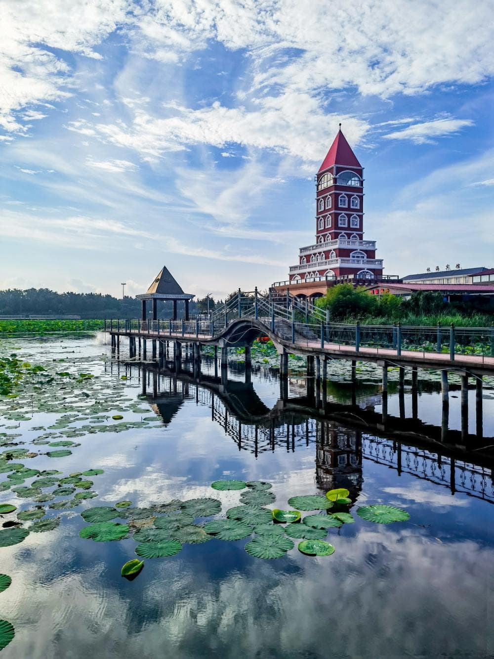 一定要去的日照海滨森林公园，绝美景色不容错过！