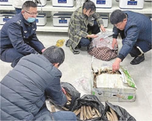 “网红”带货犀牛角，竟牵出规模庞大的“地下黑市”