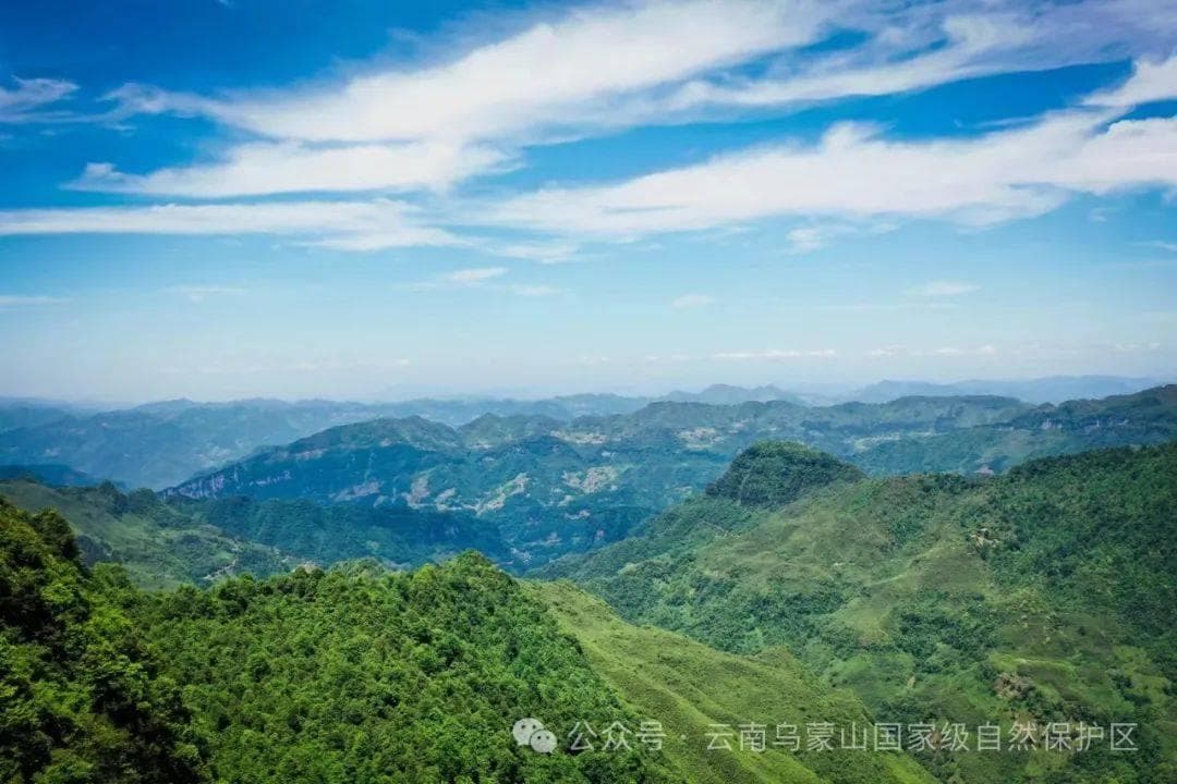 云南乌蒙山国家级自然保护区：三江口、海子坪和朝天马片区合并而成