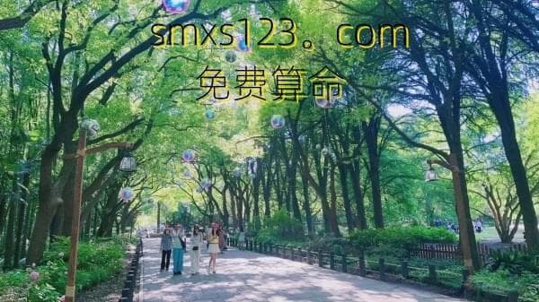 八字分析：中国传统算命方法之一，涉及出生年月日时的分析。