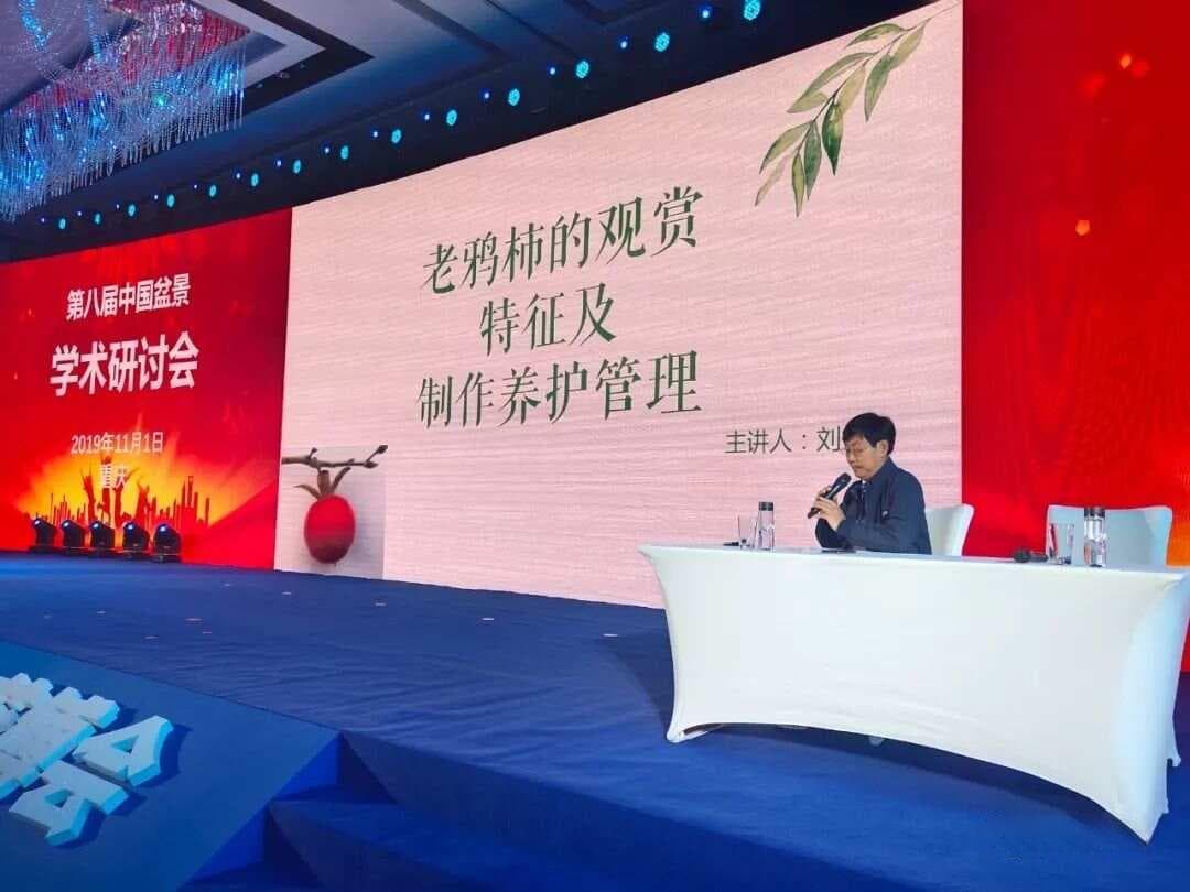 盆景老鸦柿的观赏特征及制作养护管理