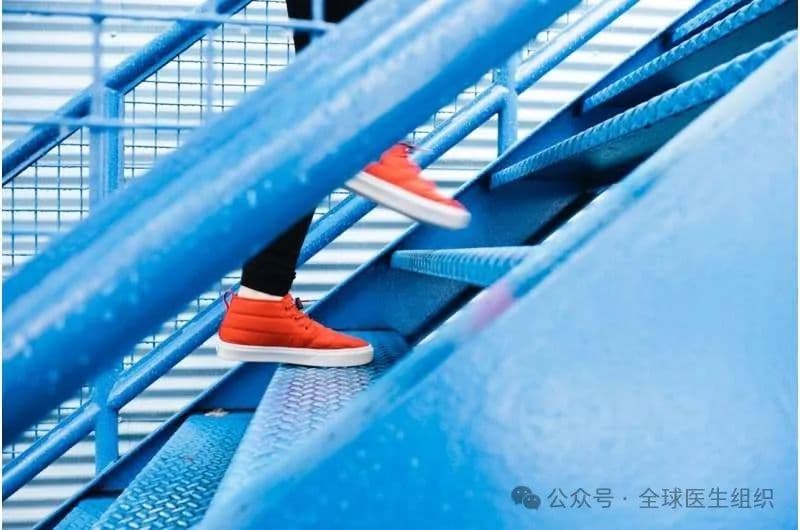 最新研究证实：走楼梯可降低心血管疾病风险，延长寿命