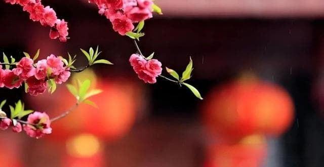 白居易的一首桃花诗，被选入地理教材，其中藏着一个地理知识