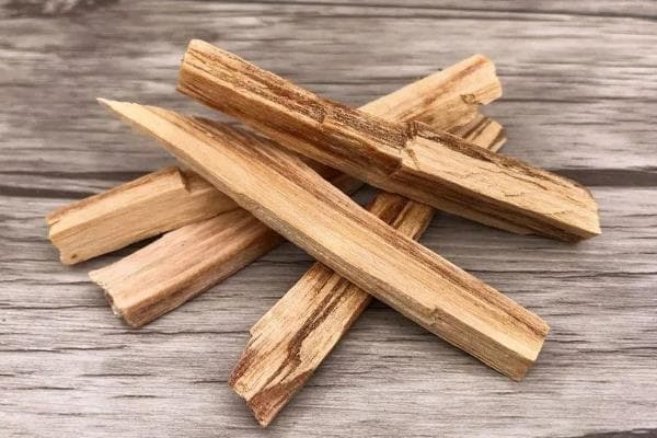 最硬的木头十大排名：铁桦树最硬(紫光檀上榜)
