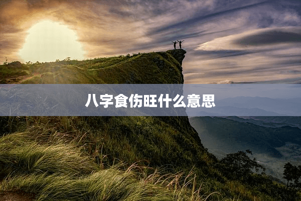 八字食伤旺的含义与影响
