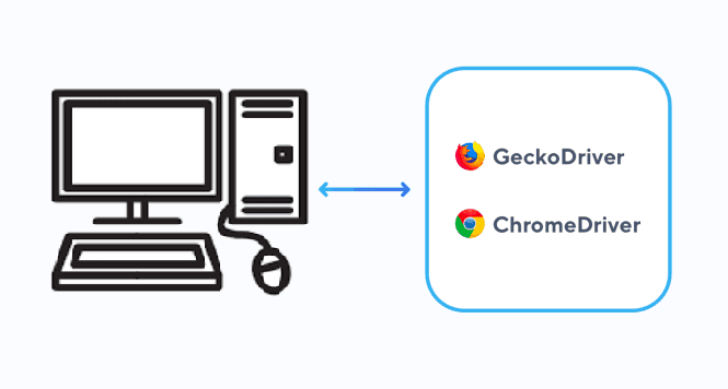 ChromeDriver 使用指南：从入门到实战