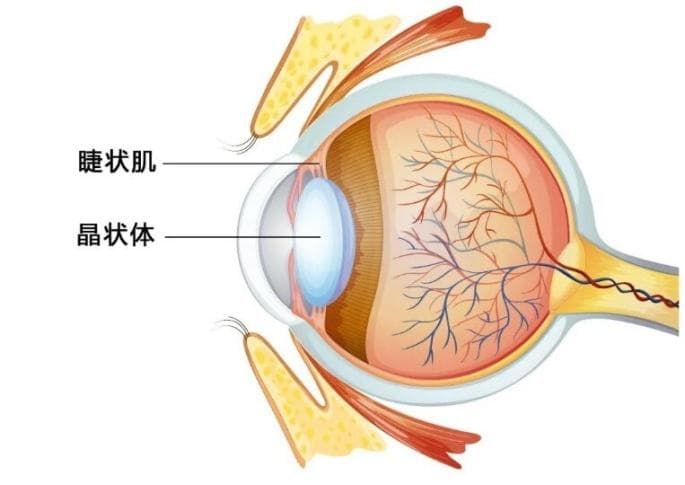 军医科普丨儿童验光为什么需要散瞳？