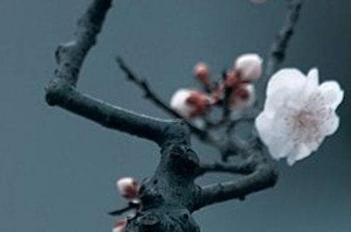 透析诸事不顺的原因与化解运势的方法 如何逆转运势迎接好运