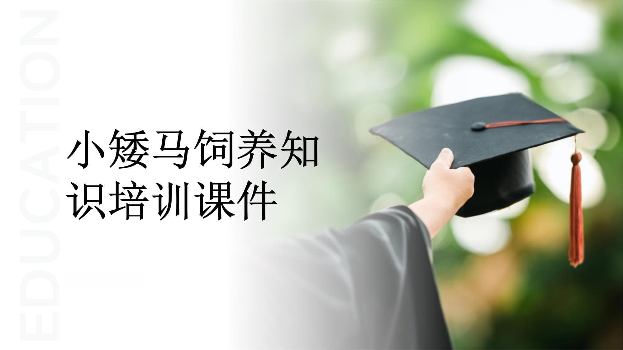 小矮马饲养知识培训课件
