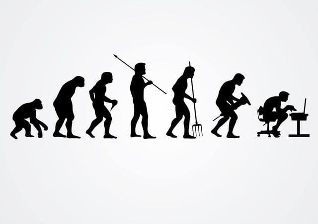 人类与自然环境的关系，从崇拜、改造、征服自然到谋求协调发展
