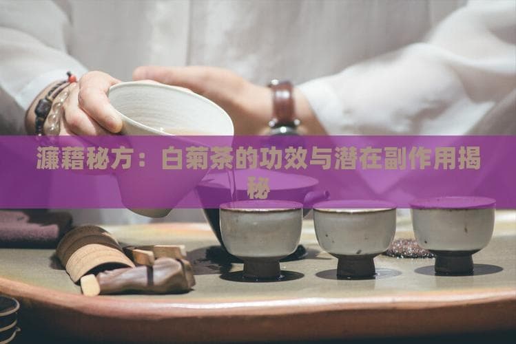 白菊茶的功效与副作用：从清热解毒到明目养肝