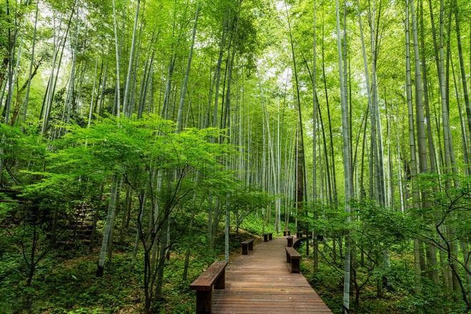 浙江10个隐秘而惊艳的景点，避开人潮，寻找不一样的江南