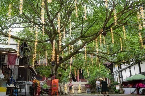 古镇活化利用如何留住“魂”？来看北碚偏岩古镇火出圈背后的故事