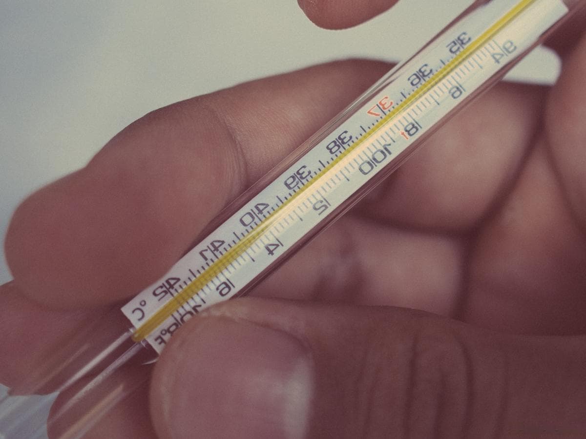 怎么判断自己烧不烧？——了解发热的科学原理与判断方法