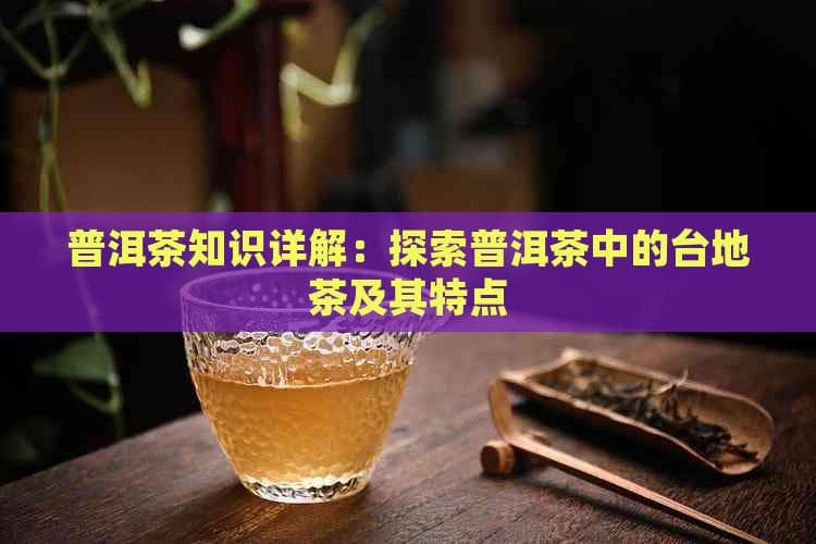 普洱茶知识详解：探索普洱茶中的台地茶及其特点
