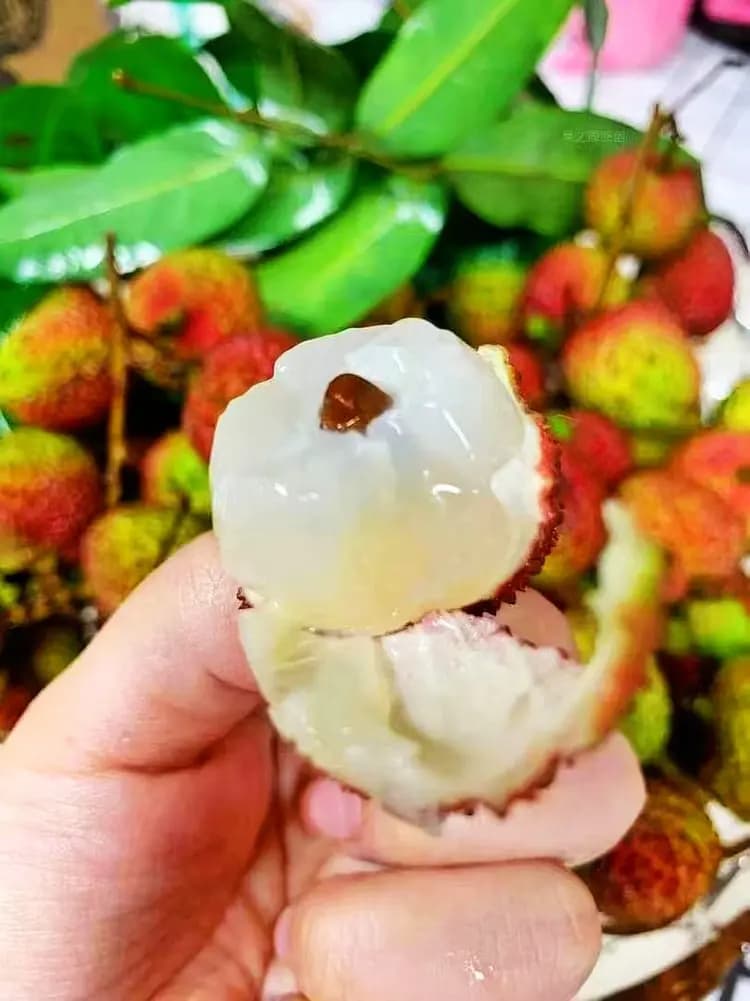 如何选择新鲜又甜的荔枝？好方法值得看！