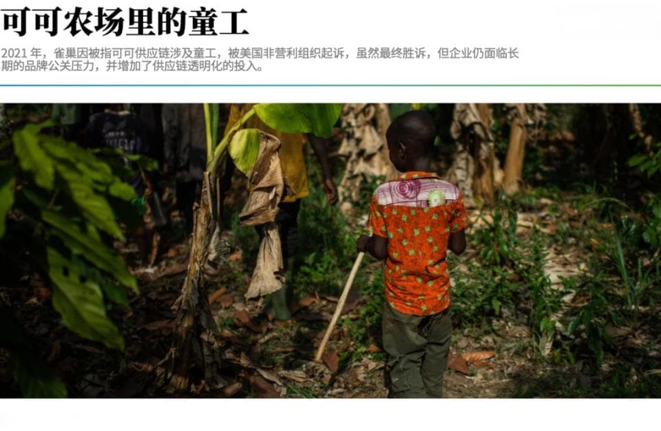 供应链合规失守、工厂停摆，企业出海如何避免比亚迪式危机？