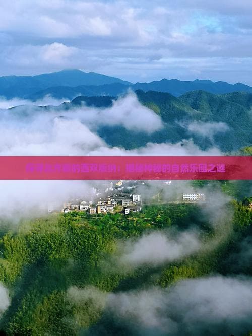 长白山：北方版西双版纳展现独特生态魅力
