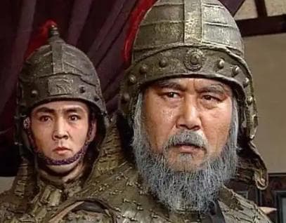 姜维剑阁之战与蒋舒、马邈的投降