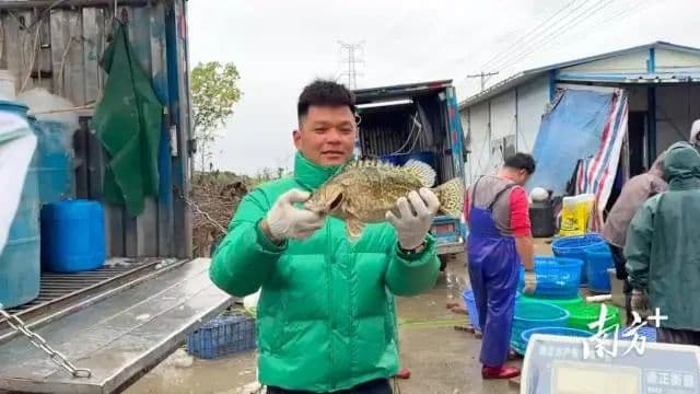 7个月赚51万元，三水白坭一五金厂老板变养鱼达人